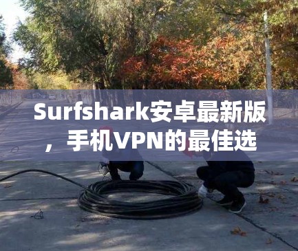 Surfshark安卓最新版，手机VPN的最佳选择