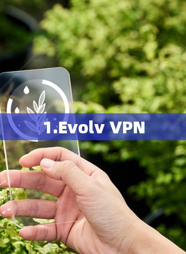 1.Evolv VPN