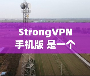 StrongVPN手机版 是一个增强版的VPN应用，旨在提供更 secure 和更 efficient 的VPN体验。以下是一些基本的配置设置和使用建议