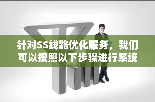 针对SS线路优化服务，我们可以按照以下步骤进行系统性的学习和掌握