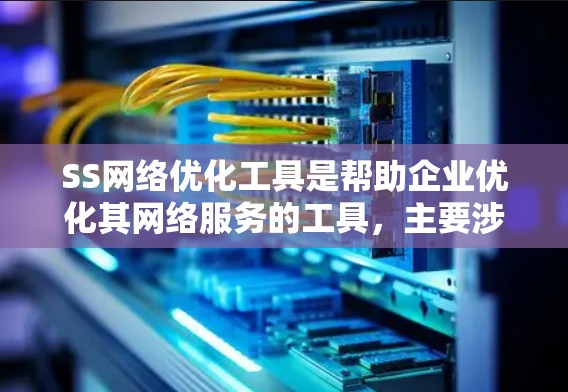 SS网络优化工具是帮助企业优化其网络服务的工具，主要涉及服务性服务（SSO）的网络优化。这些工具帮助提升网络性能、降低成本，同时增强安全和可靠性。以下是对SS网络优化工具的详细介绍