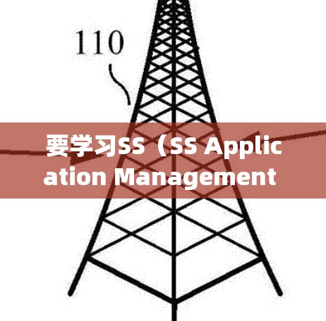 要学习SS（SS Application Management System）的教程，您可以按照以下步骤进行