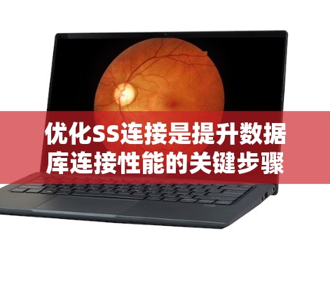 优化SS连接是提升数据库连接性能的关键步骤，涉及多个方面，以下是一些优化方法的总结