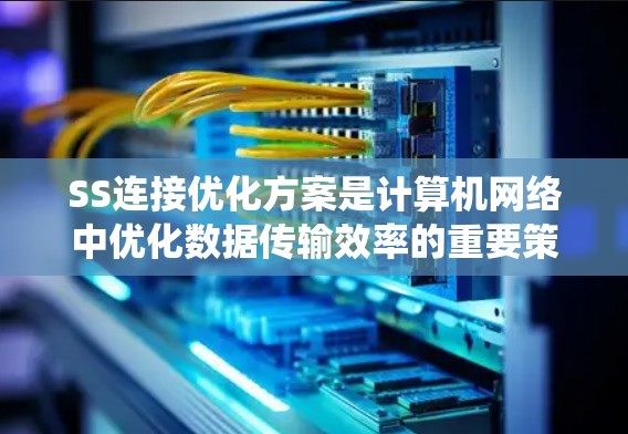 SS连接优化方案是计算机网络中优化数据传输效率的重要策略，通过有效压缩和调整数据结构，可以显著提升系统的性能。以下是对SS连接优化方案的详细分析和总结