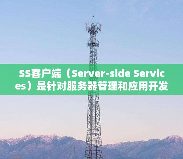 SS客户端（Server-side Services）是针对服务器管理和应用开发的简化服务工具。它允许开发者在服务器上运行自动化和自动化配置，简化了服务器管理流程，减少了资源消耗和错误