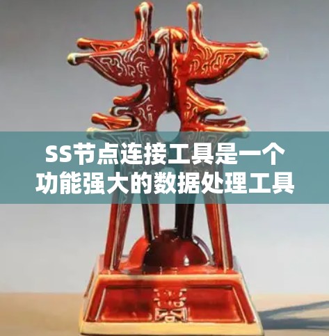 SS节点连接工具是一个功能强大的数据处理工具，主要用于数据导入、导出、分析和可视化。以下是对该工具的详细说明，涵盖其主要功能和使用步骤