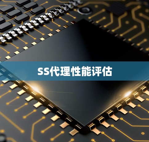 SS代理性能评估