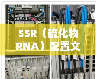 SSR（硫化物RNA）配置文件