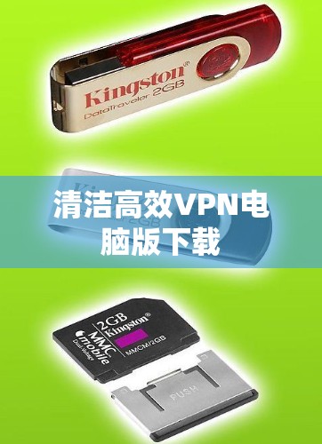 清洁高效VPN电脑版下载
