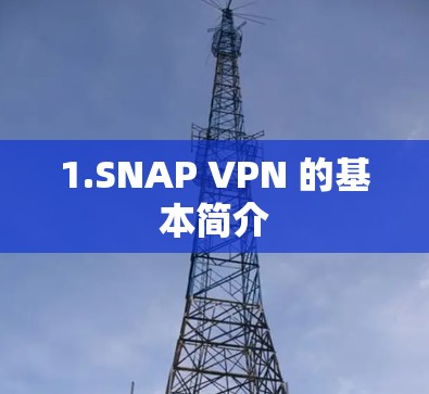 1.SNAP VPN 的基本简介