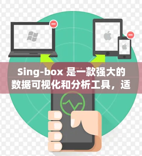 Sing-box 是一款强大的数据可视化和分析工具，适合用于数据分析和数据报告生成。以下是在Sing-box 中学习和使用的步骤和方法