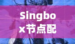 Singbox节点配置是一个用于处理Singlet异常节点数据的节点，帮助收集和分析异常事件。以下是一个详细的Singbox节点配置步骤说明