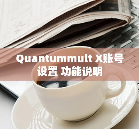 Quantummult X账号设置 功能说明