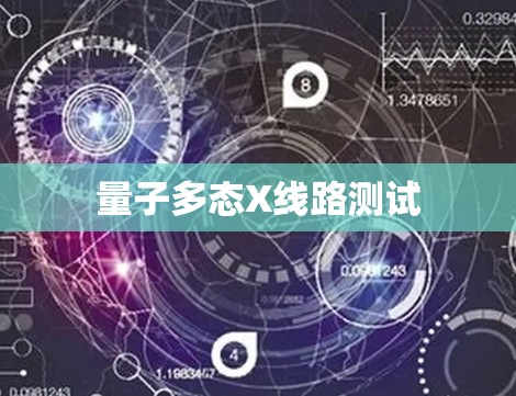 量子多态X线路测试