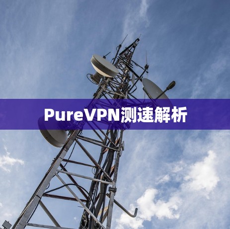 PureVPN测速解析
