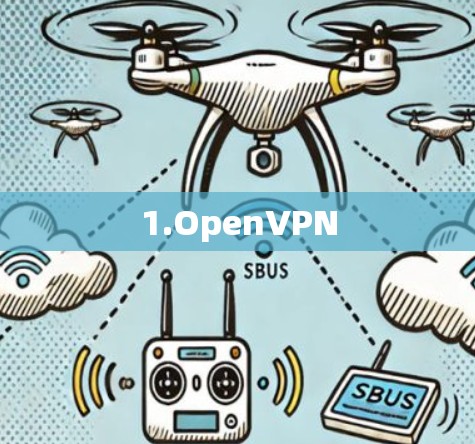 1.OpenVPN