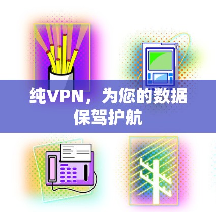 纯VPN，为您的数据保驾护航