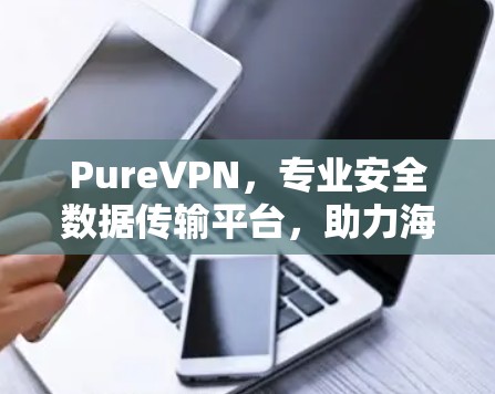 PureVPN，专业安全数据传输平台，助力海外高效访问