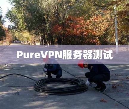 PureVPN服务器测试
