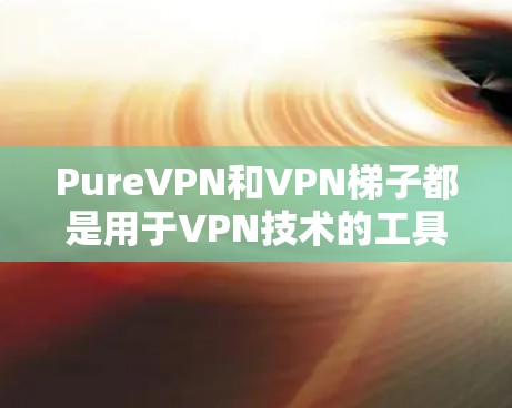PureVPN和VPN梯子都是用于VPN技术的工具，但它们有不同的应用场景和特点。以下是它们的主要区别