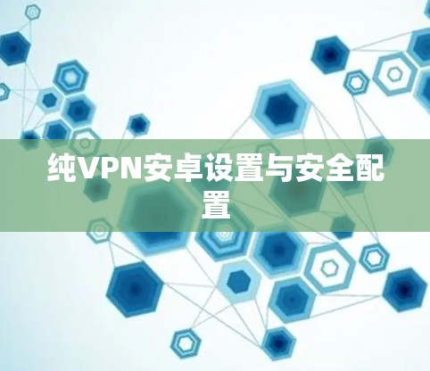 纯VPN安卓设置与安全配置