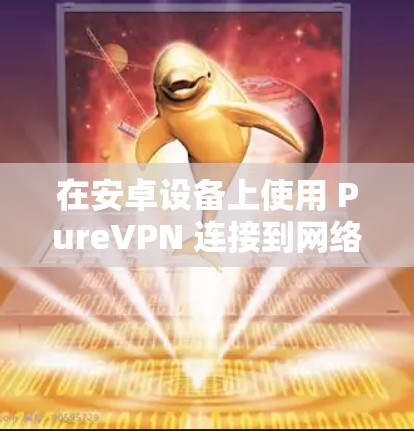 在安卓设备上使用 PureVPN 连接到网络的基本步骤如下
