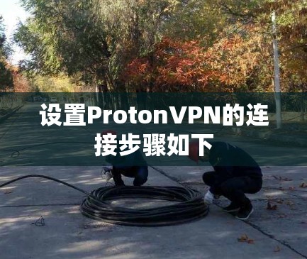 设置ProtonVPN的连接步骤如下