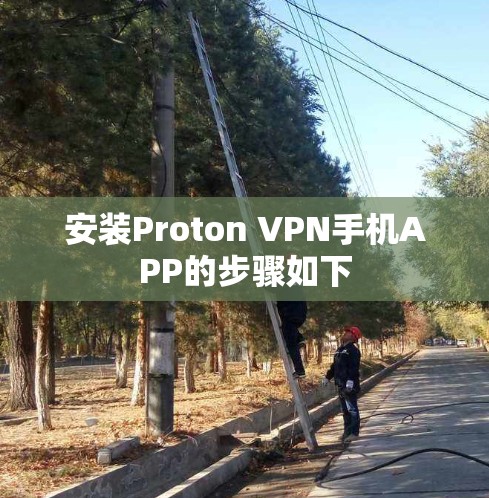 安装Proton VPN手机APP的步骤如下