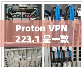 Proton VPN 223.1 是一款功能全面、安全可靠的VPN客户端，适合需要高效、安全和灵活的用户使用。以下是对该版本的详细介绍