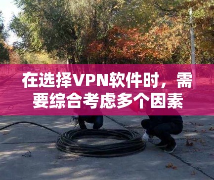 在选择VPN软件时，需要综合考虑多个因素，包括需求、预算、安全性、操作简单性、网络环境、技术背景以及用户评价等。以下是基于以上因素选择的推荐