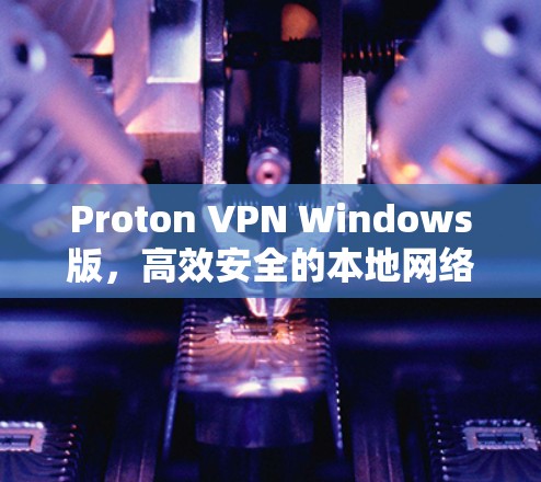 Proton VPN Windows版，高效安全的本地网络VPN解决方案