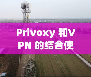 Privoxy 和VPN 的结合使用时，科学上网设置的正确配置至关重要。以下是一些科学上网设置的建议，帮助 you 配置 Privoxy 和VPN 之间的加密和隐私保护
