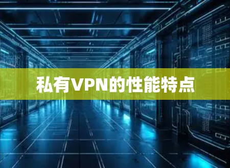 私有VPN的性能特点