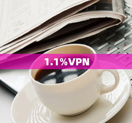1.1%VPN