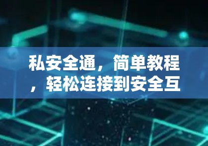 私安全通，简单教程，轻松连接到安全互联网