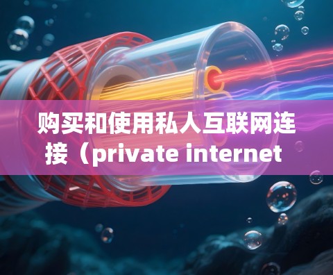 购买和使用私人互联网连接（private internet access，P IA）是一个全面的网络基础设施项目，涉及多个步骤和考虑因素。以下是对这一过程的详细指南
