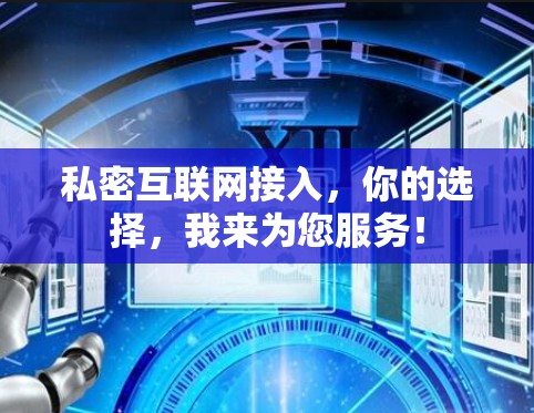 私密互联网接入，你的选择，我来为您服务！