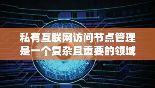 私有互联网访问节点管理是一个复杂且重要的领域，涉及多个技术措施、安全策略和管理流程。以下是对该领域内容的系统总结和概述