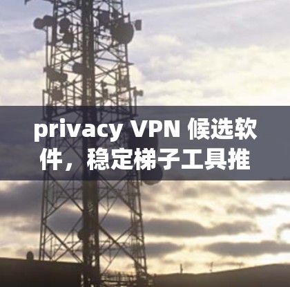 privacy VPN 候选软件，稳定梯子工具推荐