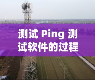 测试 Ping 测试软件的过程如下
