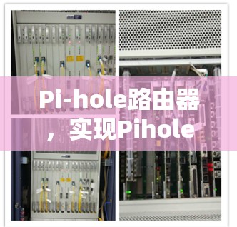 Pi-hole路由器，实现Pihole协议的智能路由解决方案