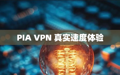 PIA VPN 真实速度体验