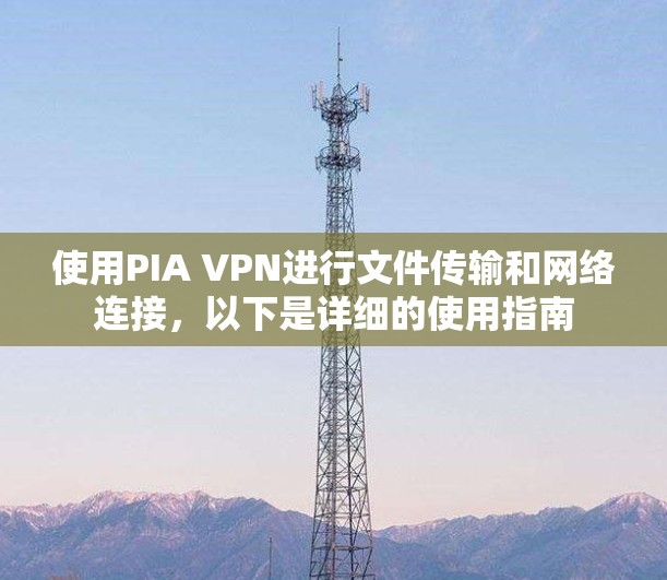使用PIA VPN进行文件传输和网络连接，以下是详细的使用指南