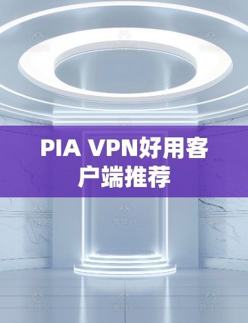 PIA VPN好用客户端推荐