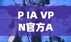 P IA VPN官方APP最新版