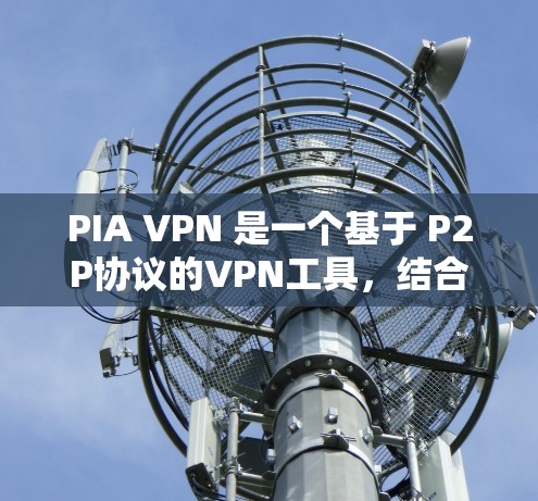 PIA VPN 是一个基于 P2P协议的VPN工具，结合了加密和多因素认证，旨在提供安全的网络连接。以下是对其安全性的详细分析