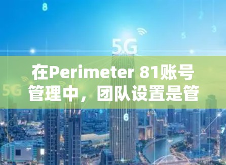 在Perimeter 81账号管理中，团队设置是管理企业用户和角色的重要组成部分。以下是团队设置的方法和步骤