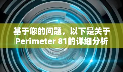基于您的问题，以下是关于Perimeter 81的详细分析和建议