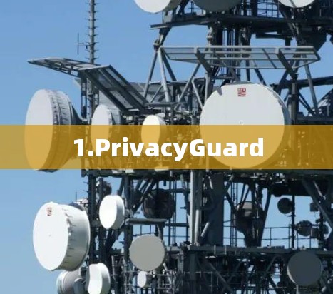 1.PrivacyGuard