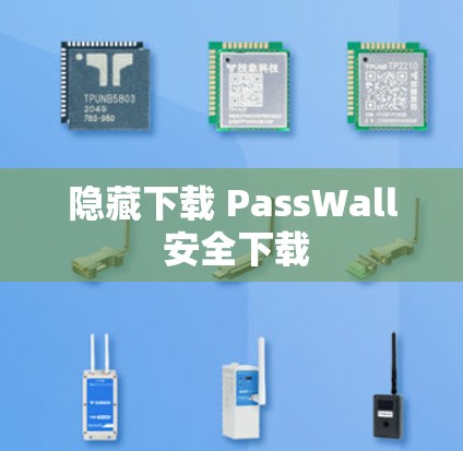 隐藏下载 PassWall 安全下载